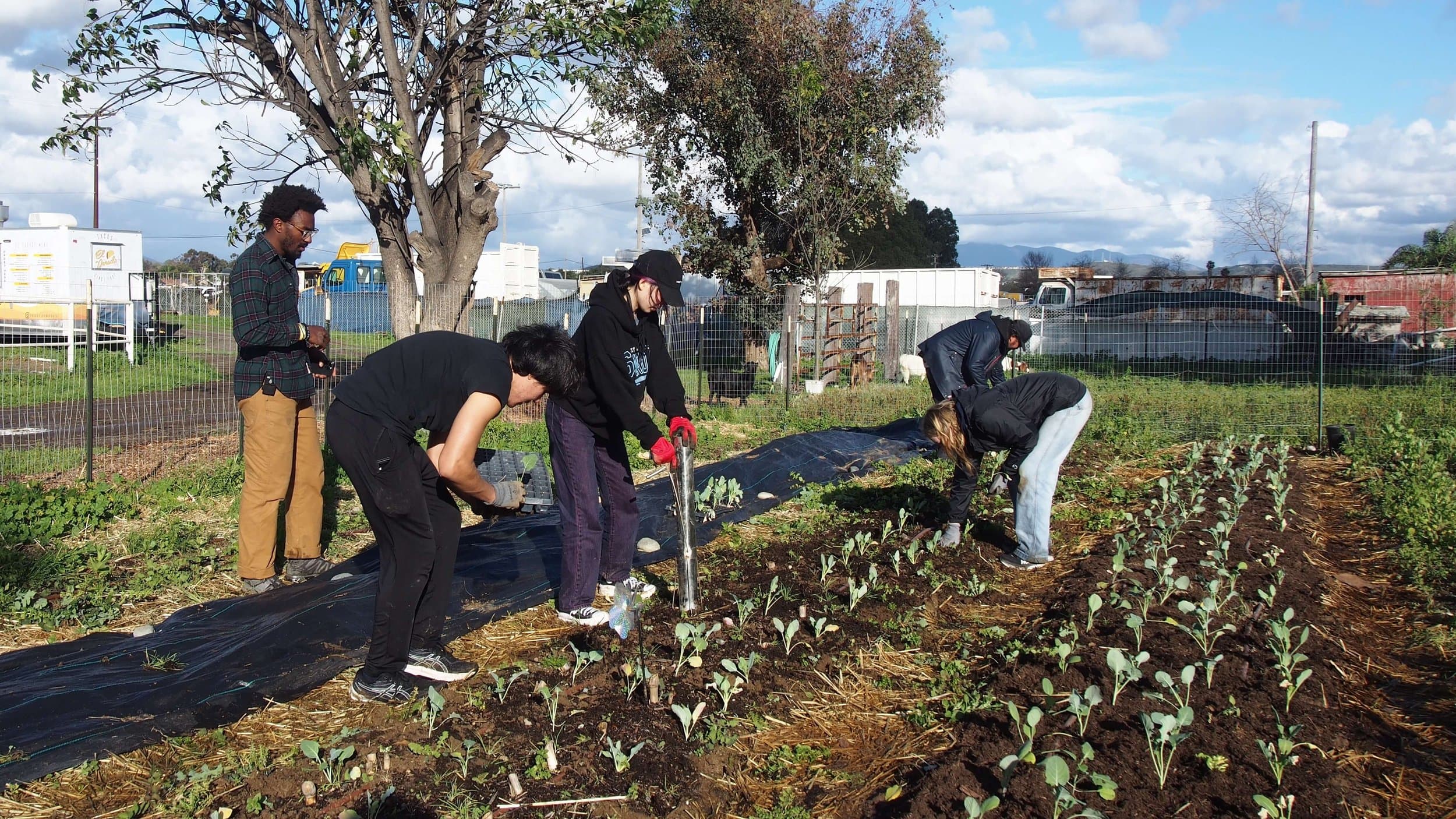 Community members working the land at Terra Imani